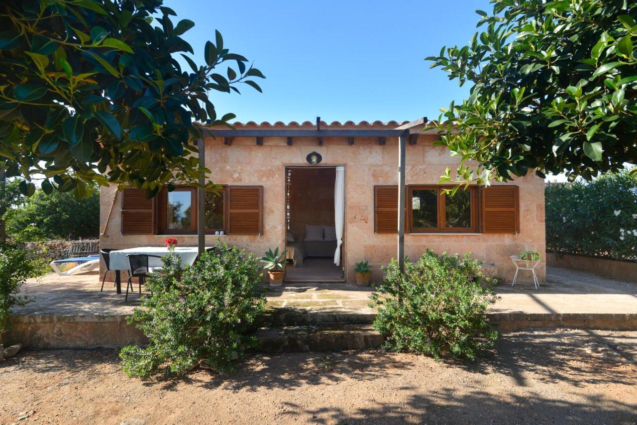 Ca Na Martina Holiday home Llombarts